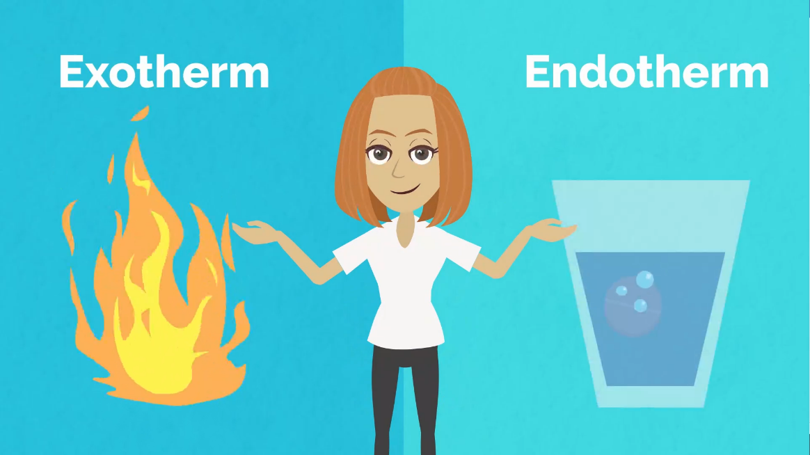 Erklärvideo: Endotherm oder exotherm?