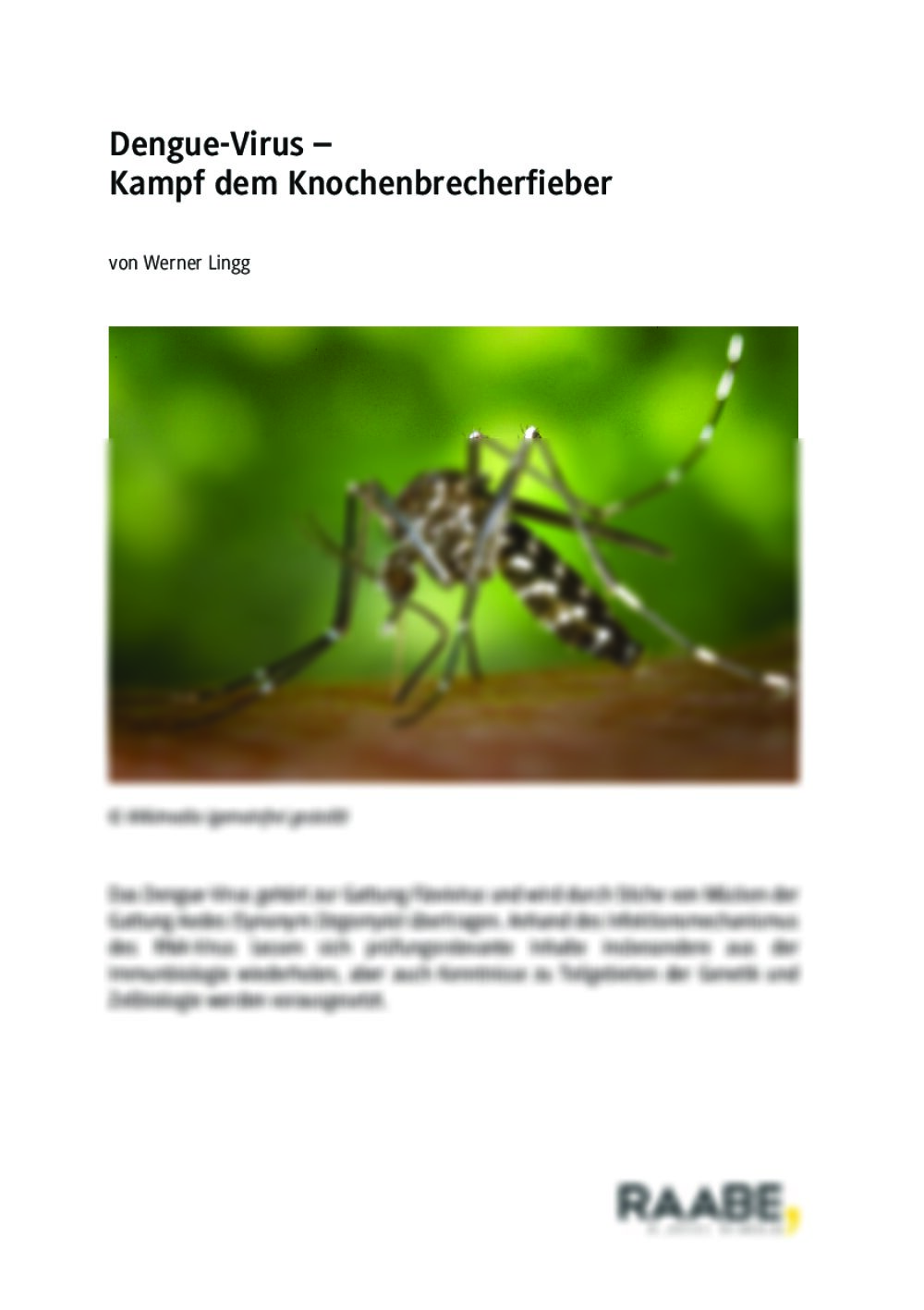 Dengue-Virus: Kampf dem Knochenbrecherfieber - Seite 1