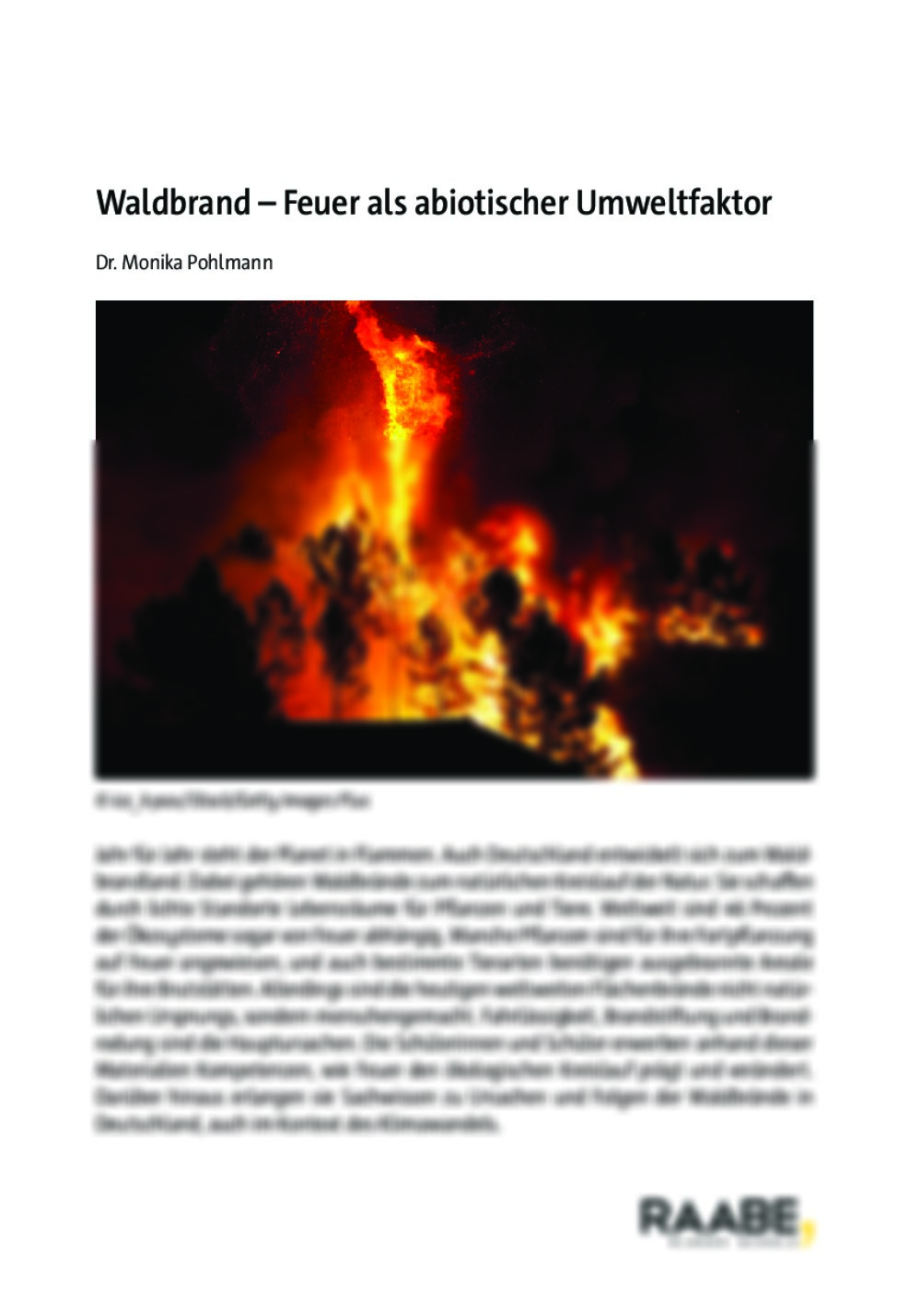 Waldbrand - Seite 1