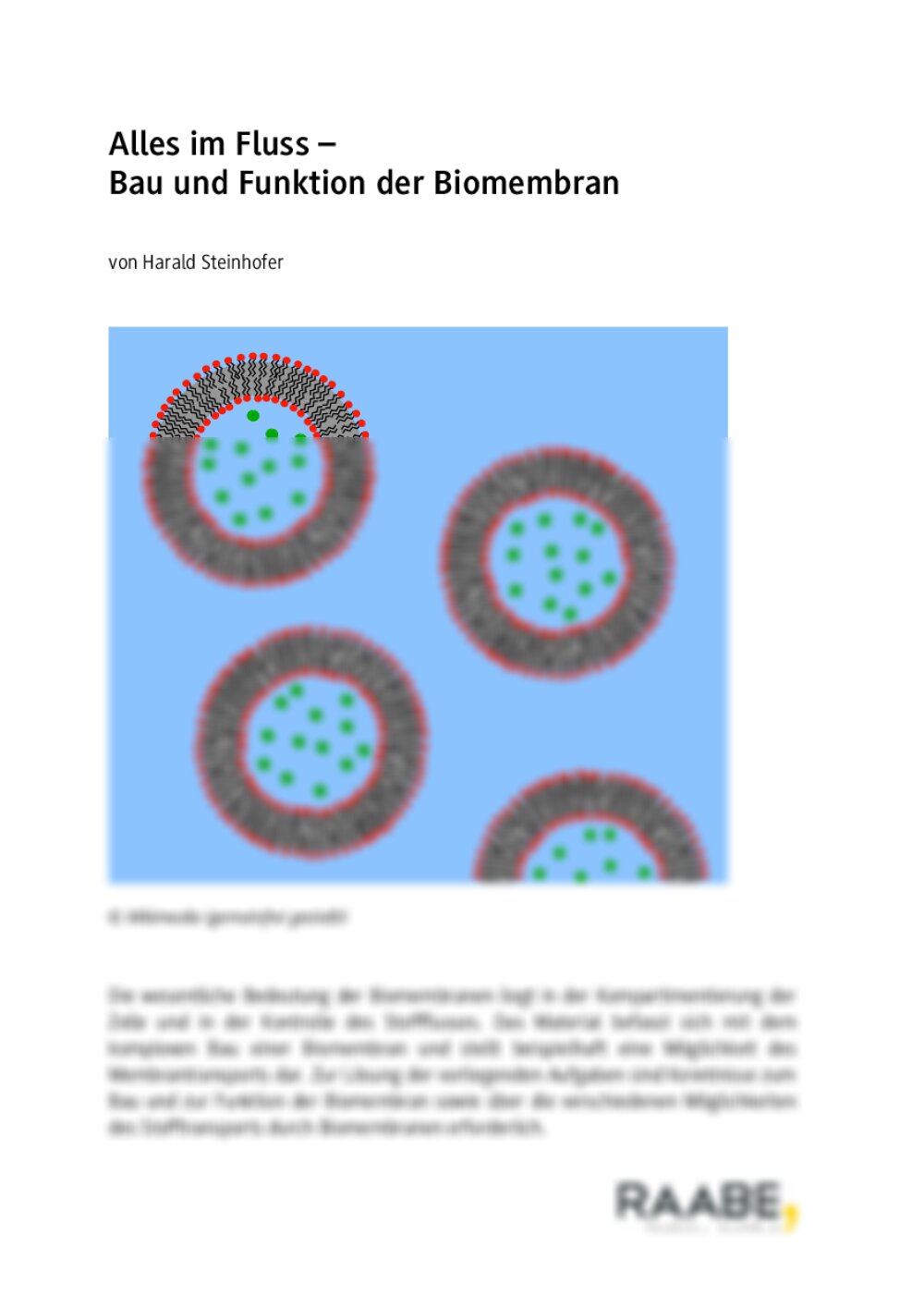 Bau und Funktion der Biomembran - Seite 1
