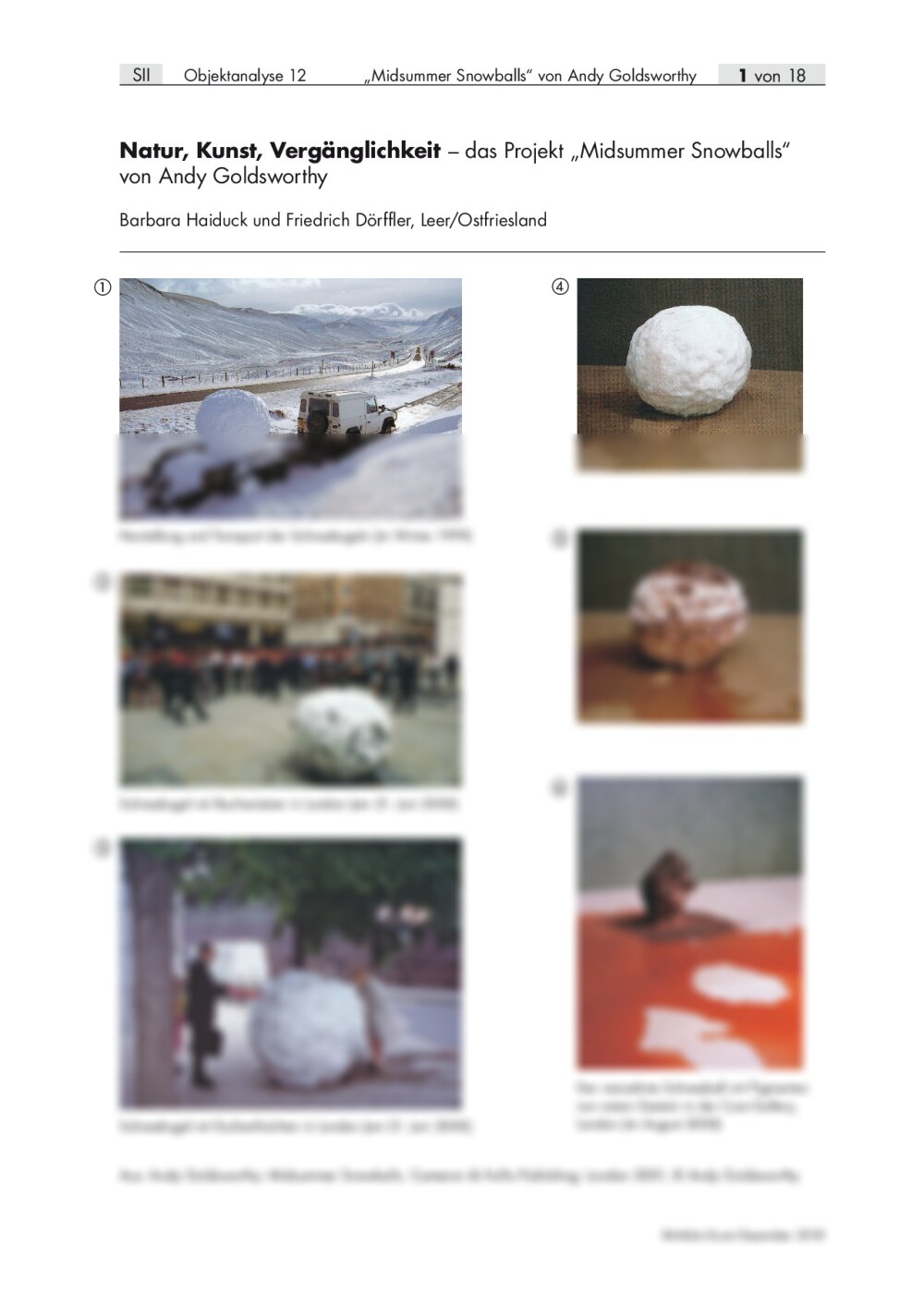 Das Projekt „Midsummer Snowballs“ von Andy Goldsworthy - Seite 1