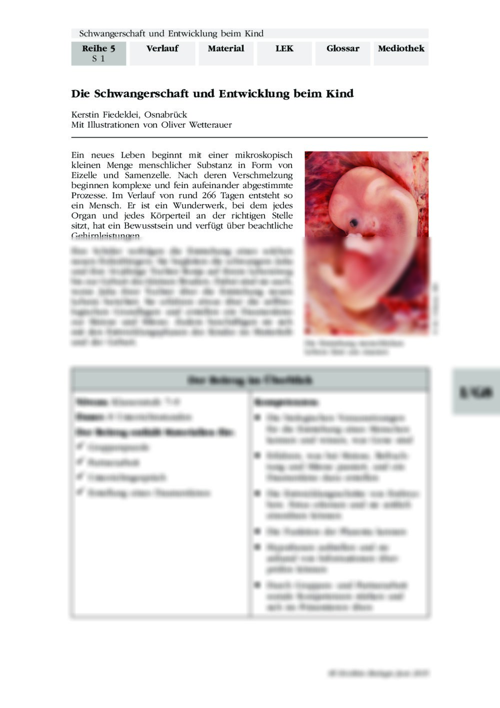 Die Schwangerschaft und Entwicklung beim Kind - Seite 1