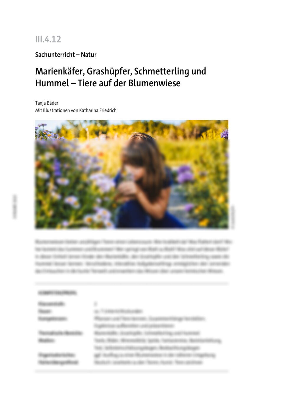Marienkäfer, Grashüpfer, Schmetterling und Hummel  - Seite 1