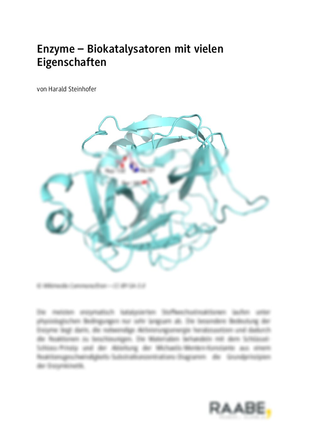 Enzyme  –  Biokatalysatoren mit vielen Eigenschafte - Seite 1