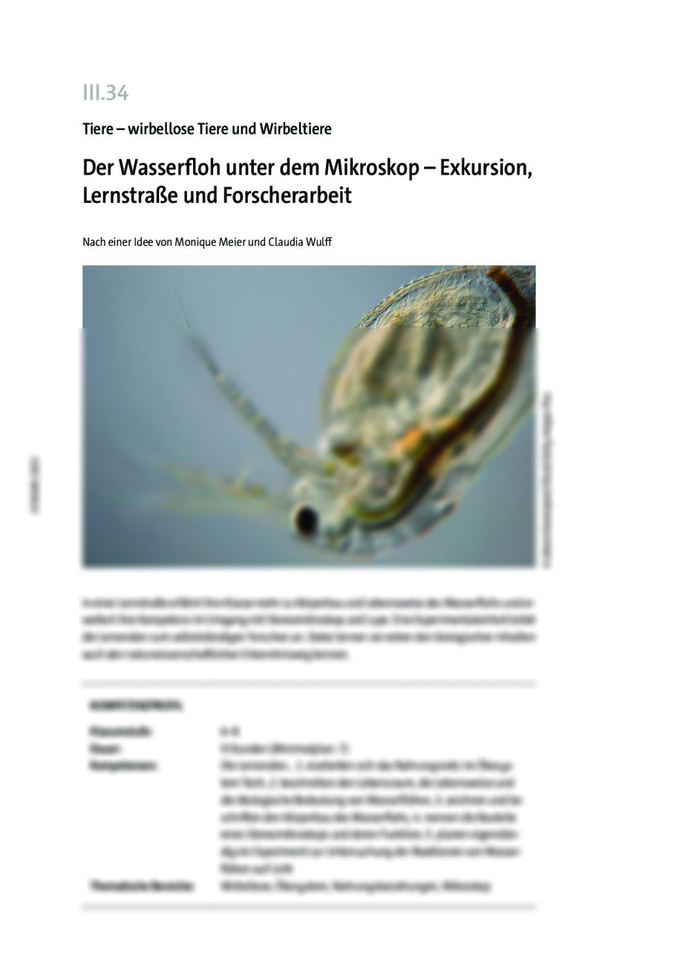 Der Wasserfloh unter dem Mikroskop  - Seite 1