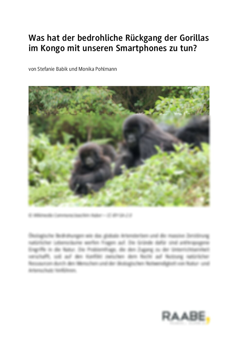 Bedrohlicher Rückgang der Gorillas im Kongo - Seite 1