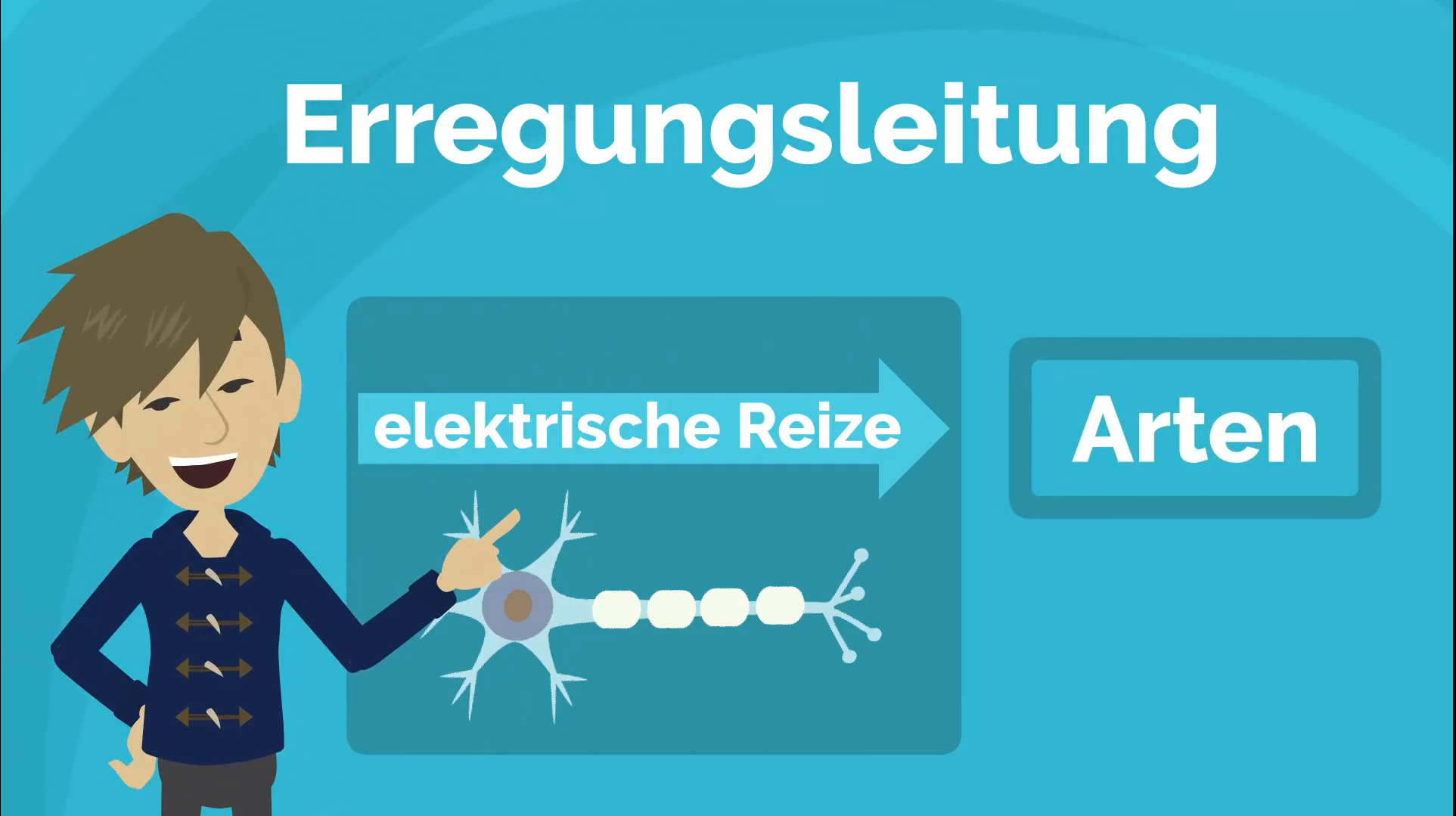 Erklärvideo Erregungsleitung