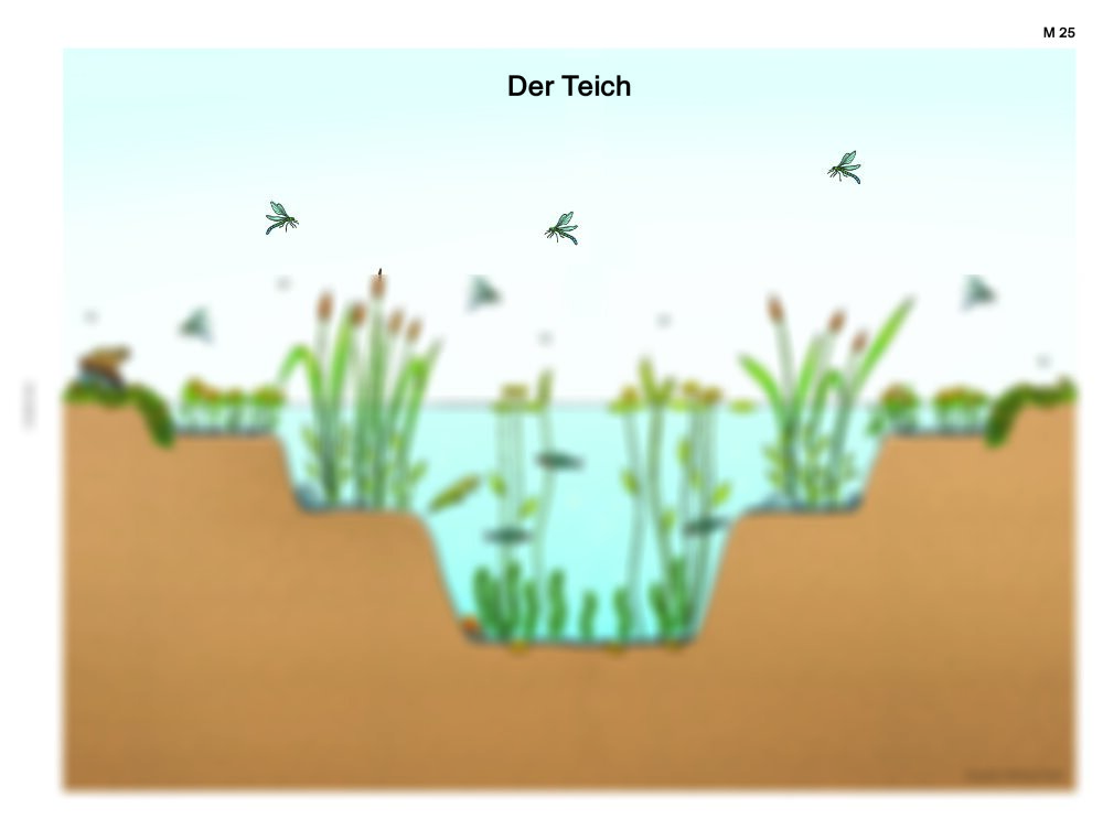 Lebensraum Teich RAAbits Online