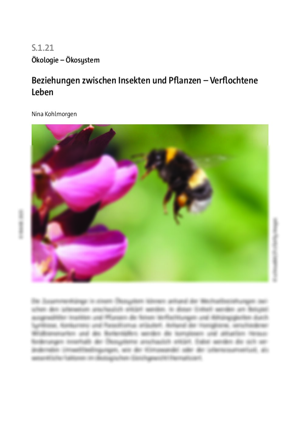 Beziehungen zwischen Insekten und Pflanzen - Seite 1