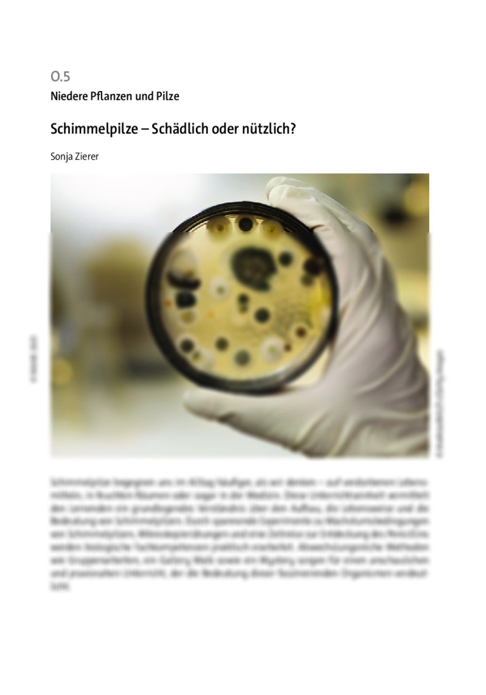 Schimmelpilze - Seite 1