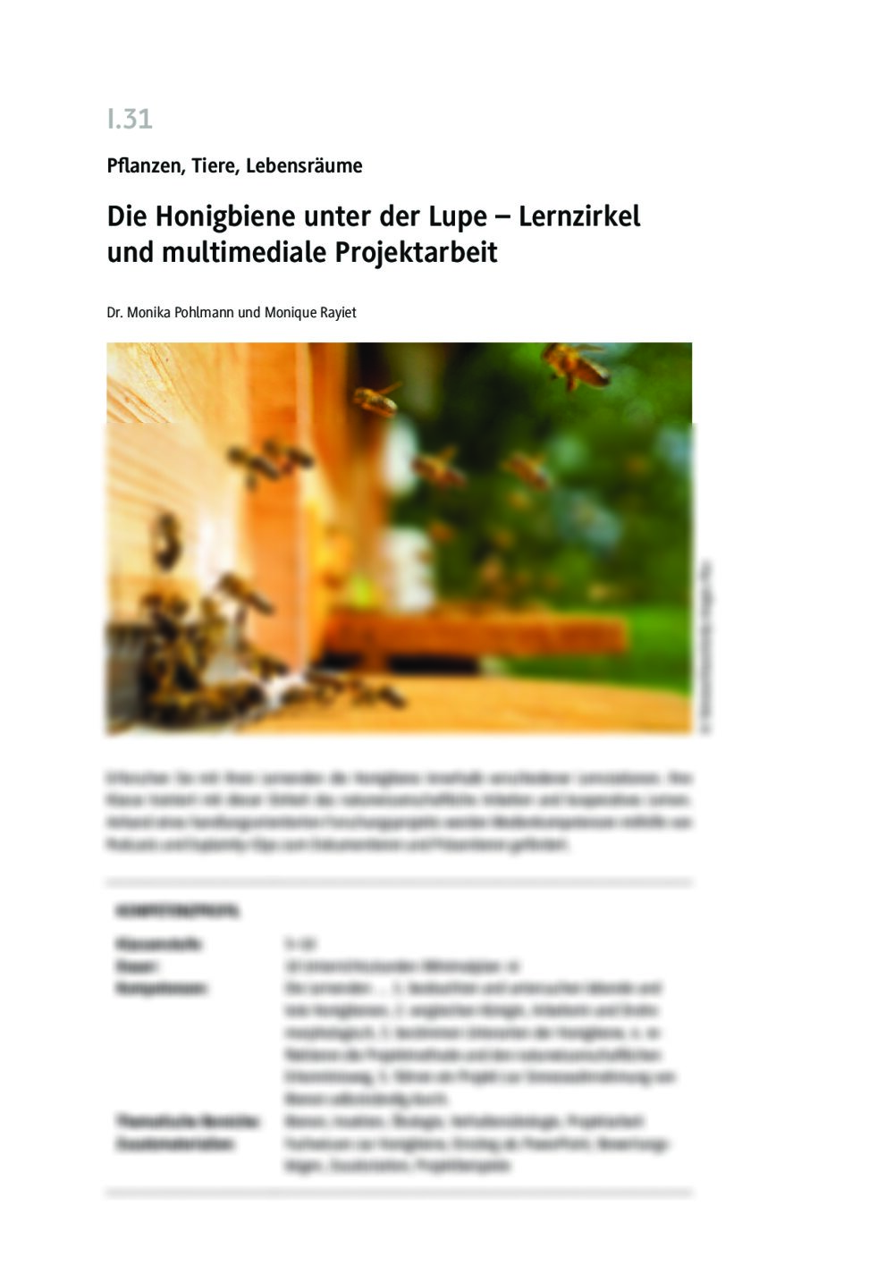 Die Honigbiene unter der Lupe - Seite 1