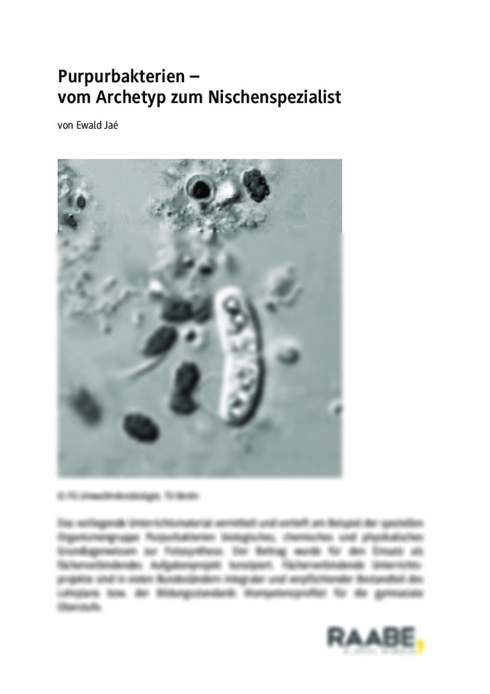 Purpurbakterien - Seite 1