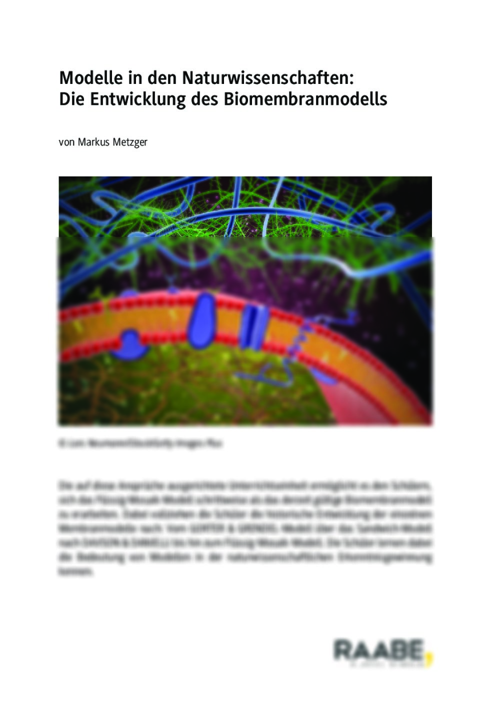 Die Entwicklung des Biomembranmodells - Seite 1