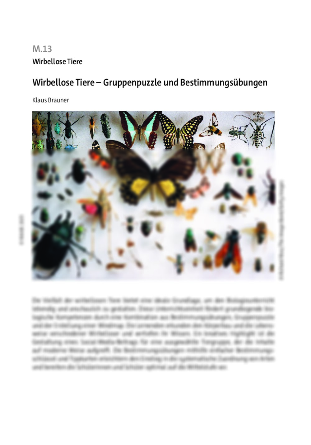 Wirbellose Tiere - Seite 1