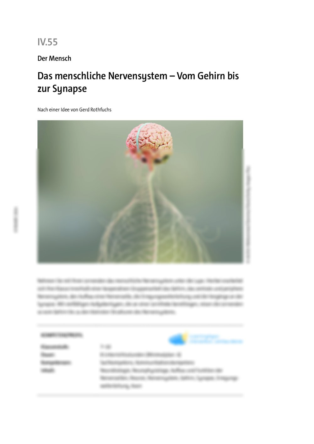 Das menschliche Nervensystem  - Seite 1