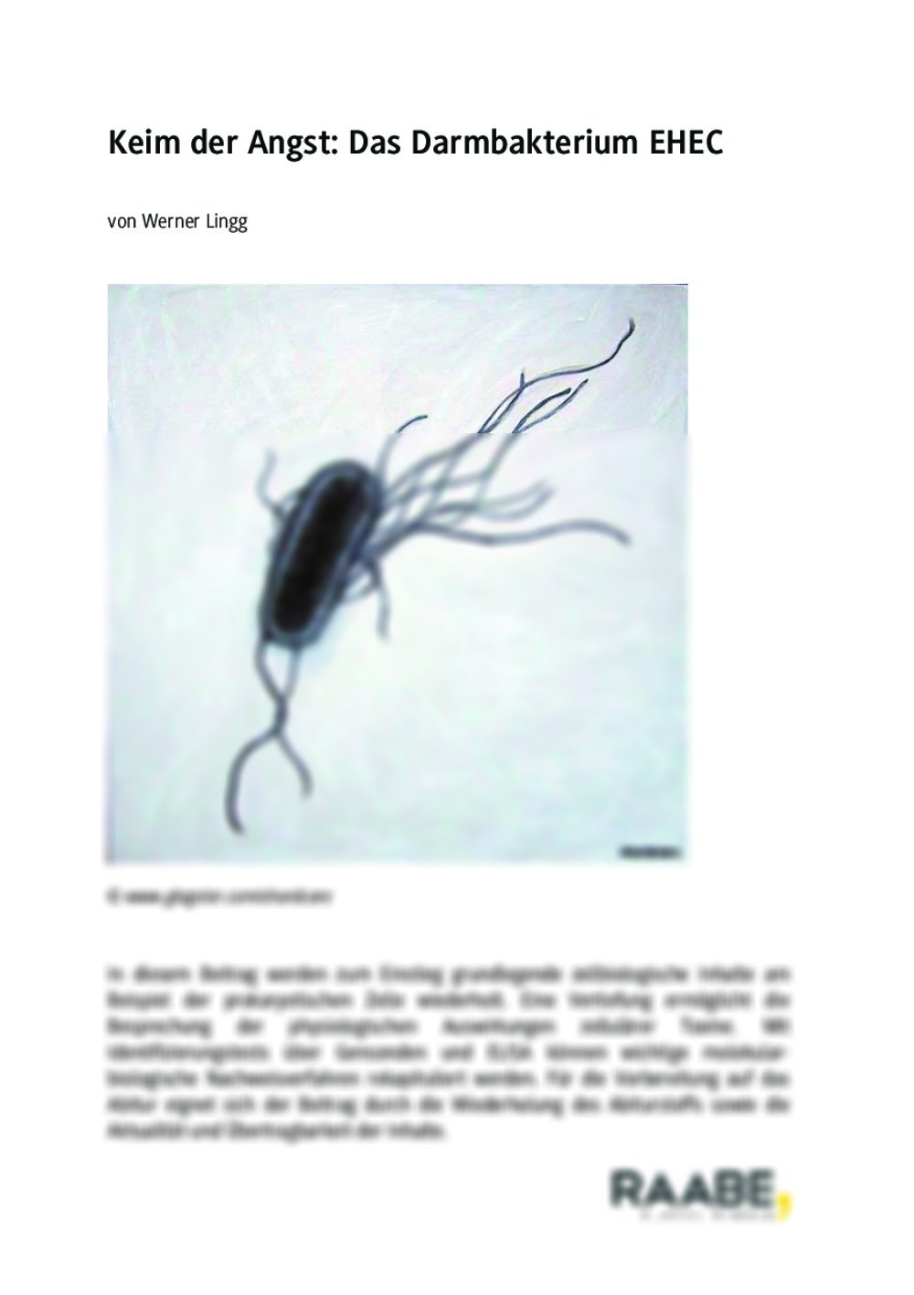 Keim der Angst: Das Darmbakterium EHEC - Seite 1