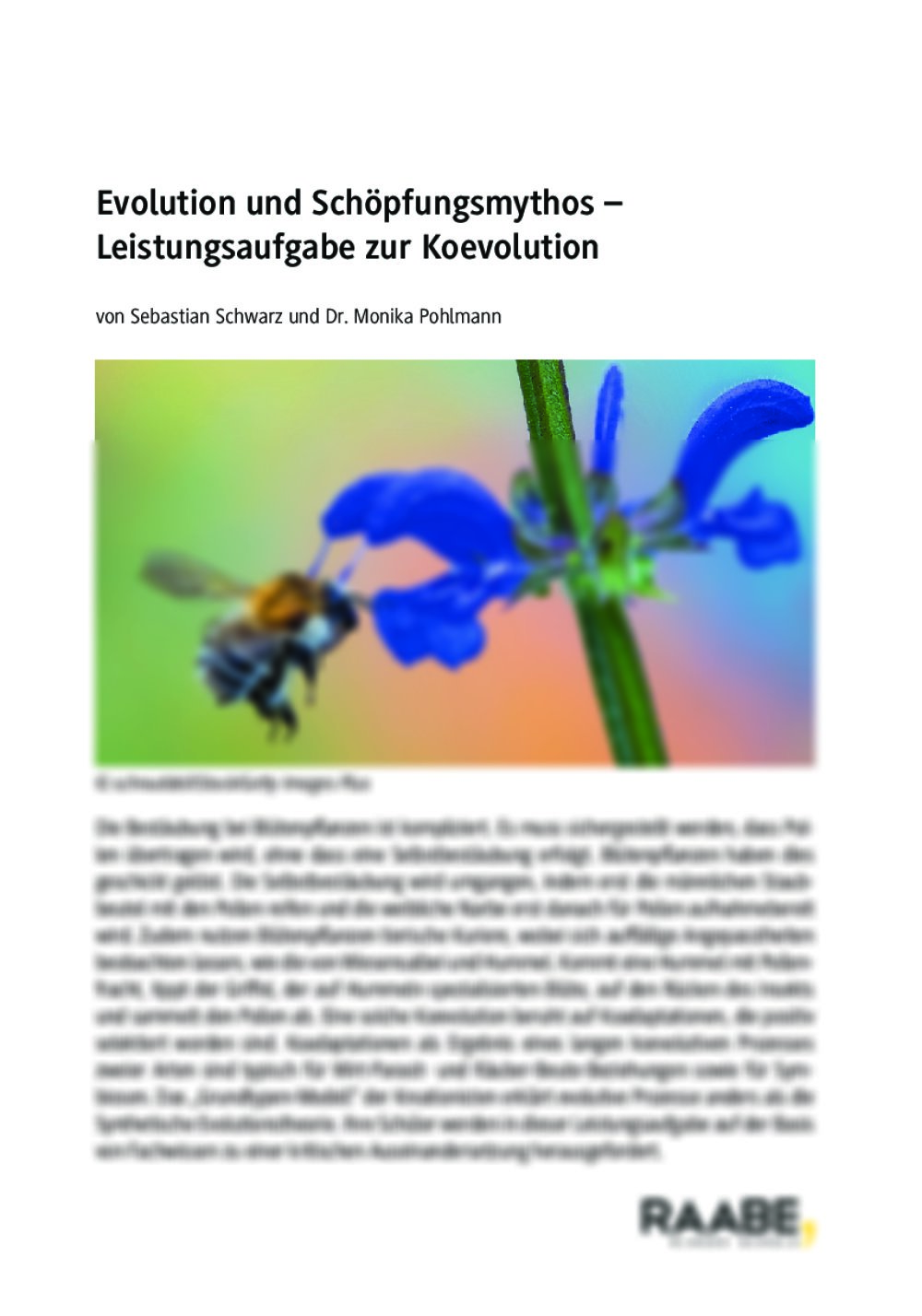 Evolution und Schöpfungsmythos - Seite 1