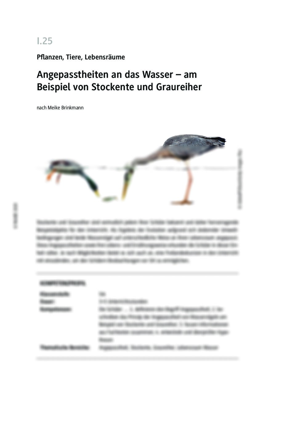 Angepasstheiten an das Wasser - Seite 1