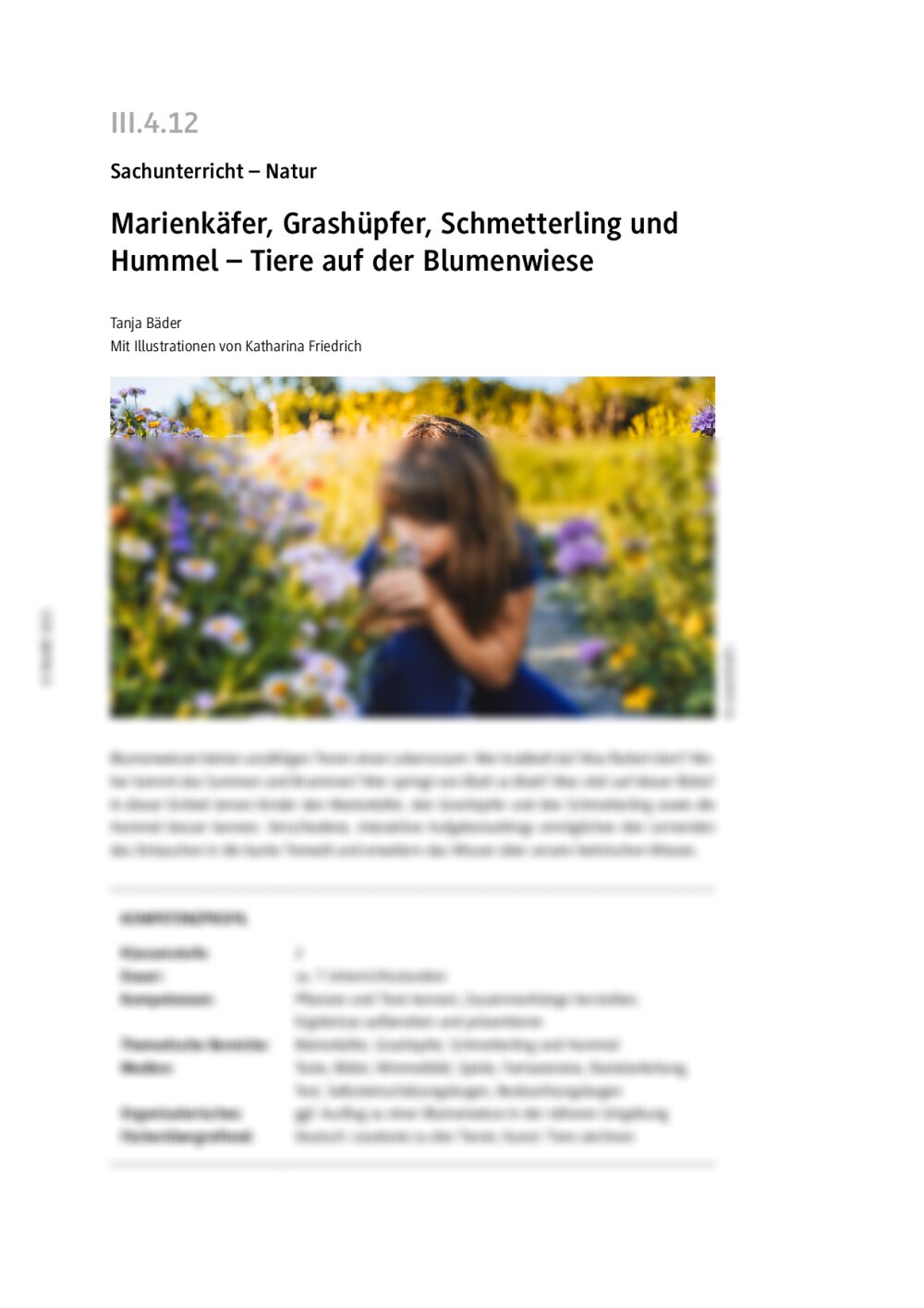 Marienkäfer, Grashüpfer, Schmetterling und Hummel  - Seite 1