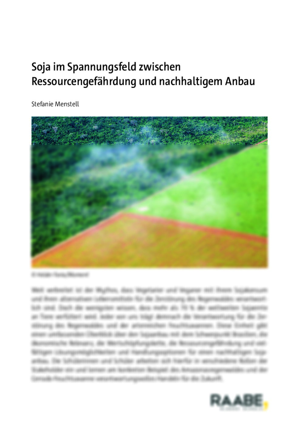 Soja im Spannungsfeld zwischen Ressourcengefährdung und nachhaltigem Anbau - Seite 1