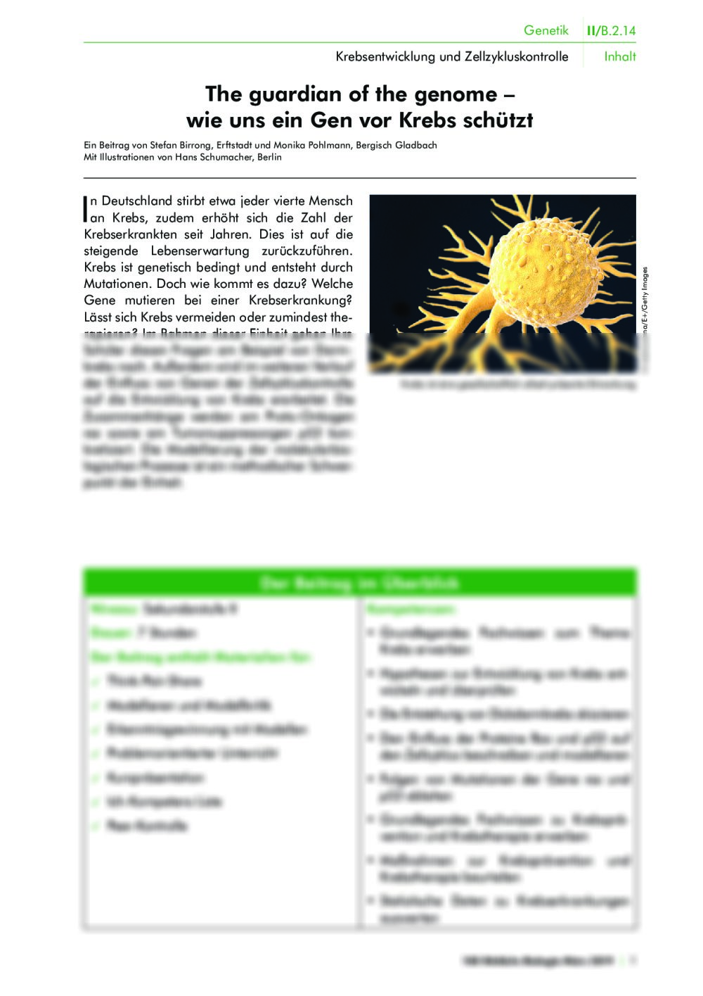 Tumorsuppressorgen p53 und der Einfluss von Genen auf die Entwicklung von Krebs - Seite 1