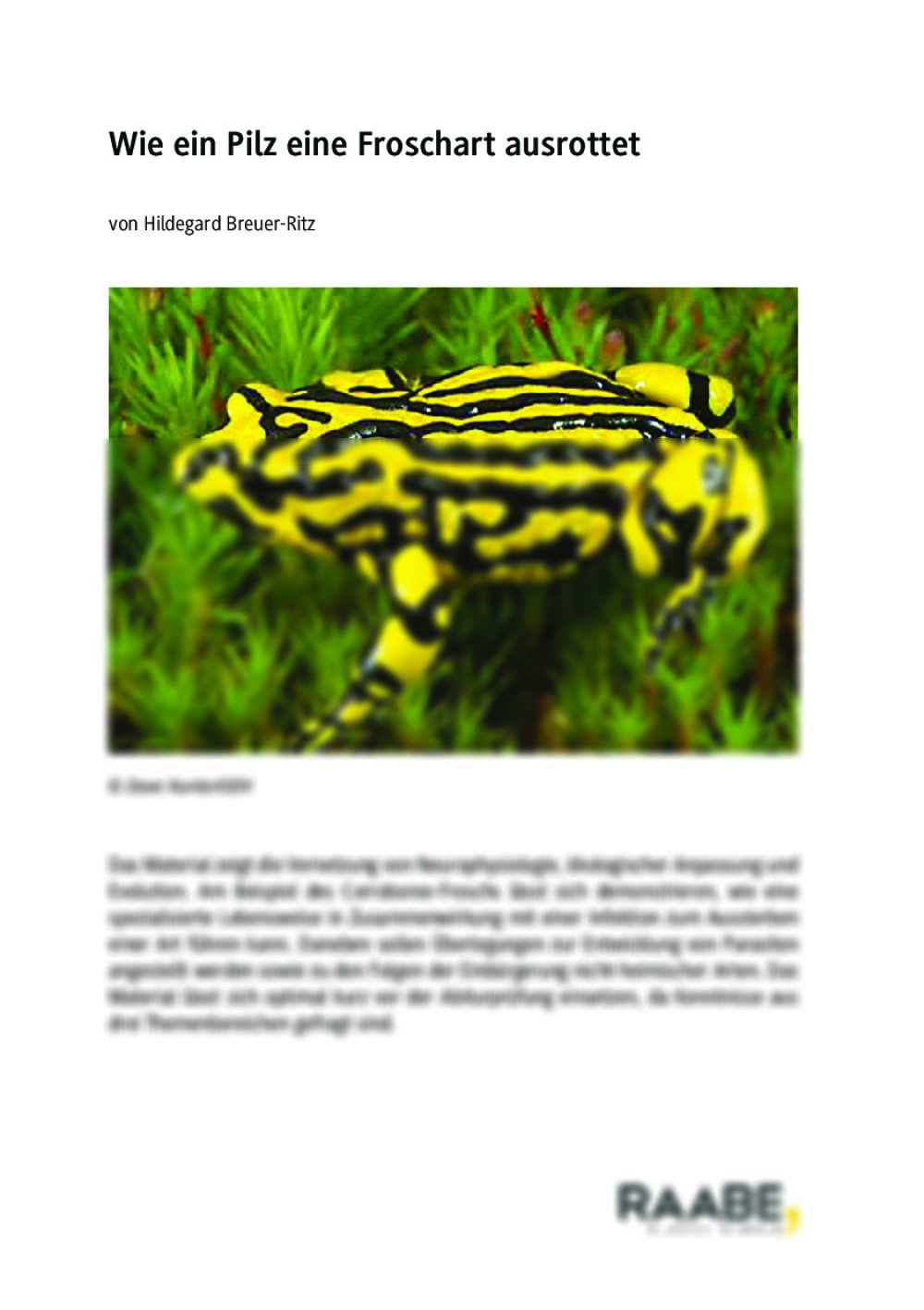 Wenn ein Pilz eine Froschart ausrottet - Seite 1