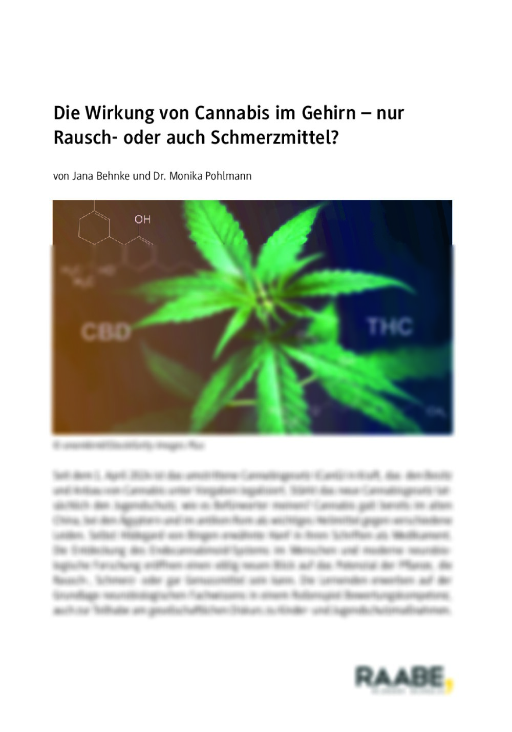 Die Wirkung von Cannabis im Gehirn - Seite 1