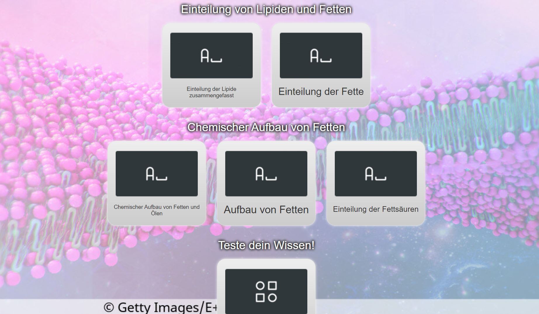 Vorschau interaktiver Inhalt