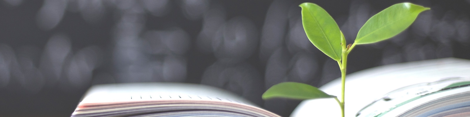 Bildung für nachhaltige Entwicklung