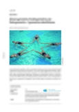 Achsensymmetrie, Punktsymmetrie und Drehsymmetrie 