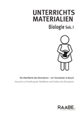 Die Oberfläche des Dünndarms