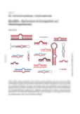 MicroRNAs
