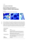 Die Farbe Blau kennenlernen