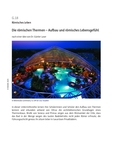 Die römischen Thermen 