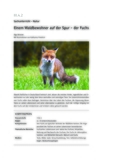 Der Fuchs