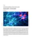 Synapsengifte