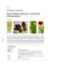 Kleine Frühblüher-Werkstatt