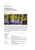 Der Wald erwacht