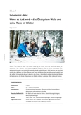 Das Ökosystem Wald und seine Tiere im Winter