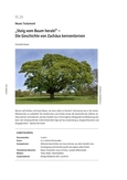 Die Geschichte von Zachäus kennenlernen