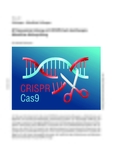 β-Thalassämie-Heilung mit CRISPR/Cas9-Gentherapie: Mündliche Abiturprüfung