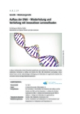 Aufbau der DNA