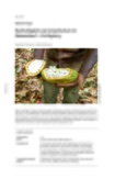 Nachhaltigkeit und Umweltschutz im Kakaoanbau?