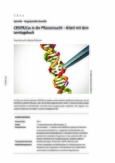 CRISPR/Cas in der Pflanzenzucht