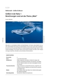 Größen in der Natur