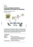 Fossilien als Belege der Evolution