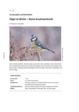 Vögel im Winter
