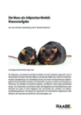 Die Maus als Adipositas-Modell: Klausuraufgabe