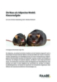 Die Maus als Adipositas-Modell: Klausuraufgabe