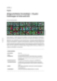 Zeitgeschichtliche Fensterbilder